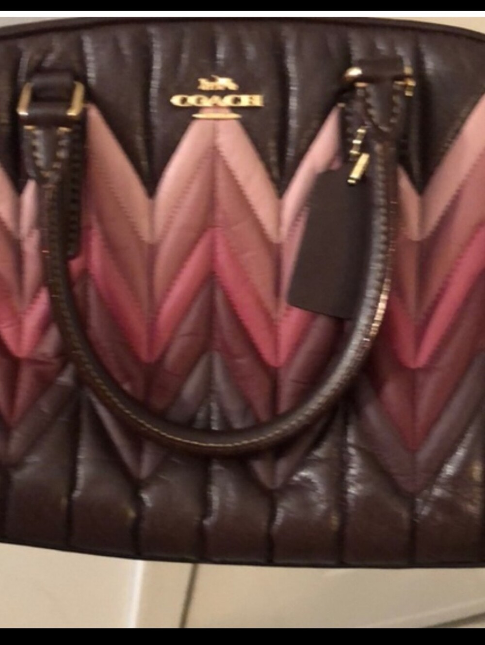 COACH MINI SAGE OMBRE' CARRYALL - Picture 7 of 11